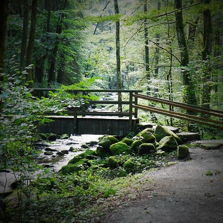 Fewo Kedo Neukirchen vorm Wald Kültér fotó