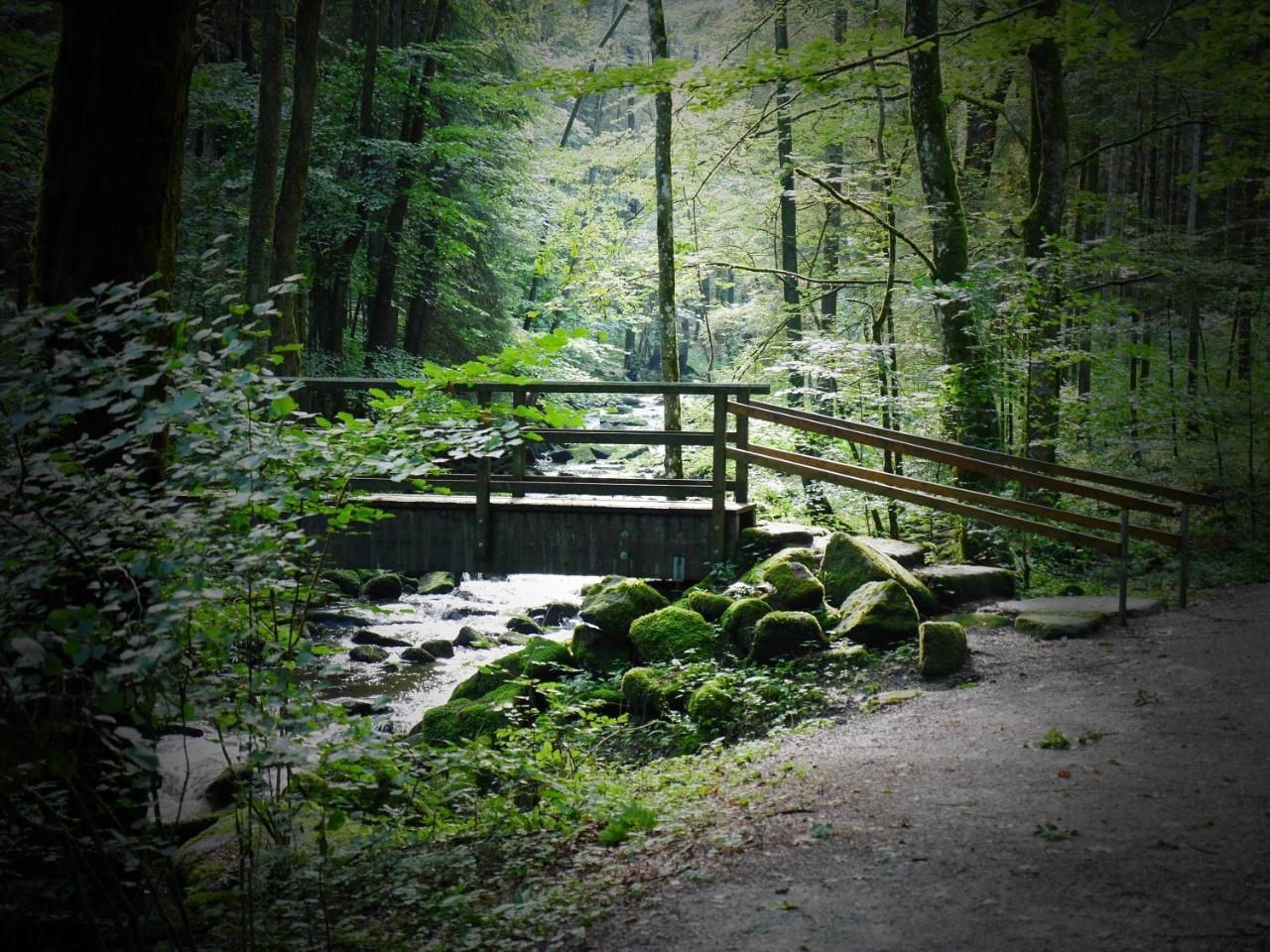 Fewo Kedo Neukirchen vorm Wald Kültér fotó