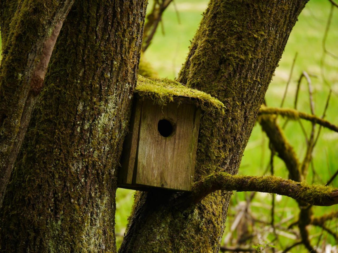 Fewo Kedo Neukirchen vorm Wald Kültér fotó