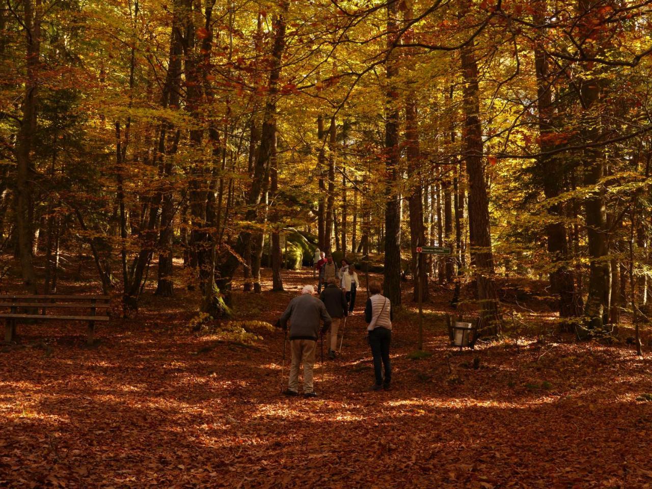 Fewo Kedo Neukirchen vorm Wald Kültér fotó